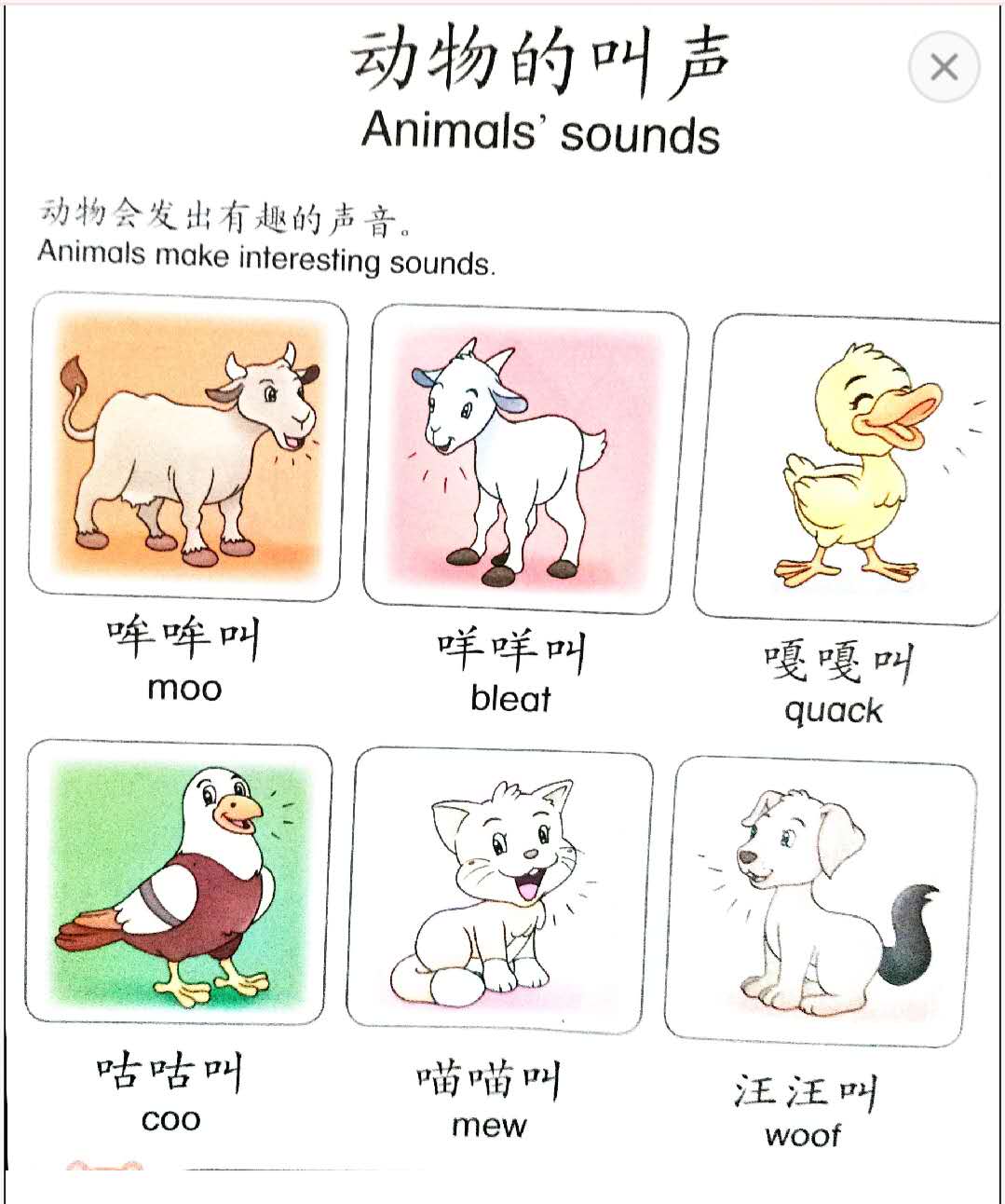 動物の鳴き声の中国語擬声語10選 愛言舎